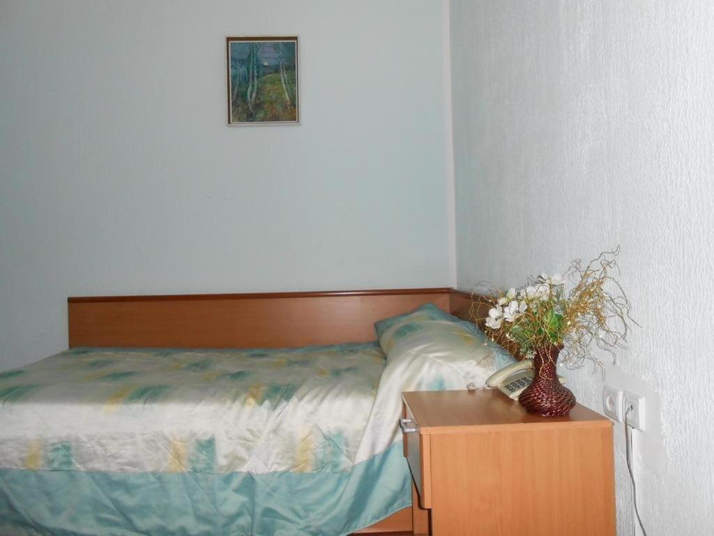 Zhibek Zholy Hotel Astana Rum bild